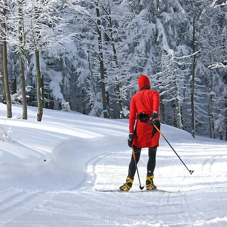 Bayerwald Inklusive Aktivcard Bayerischer Wald Daire Freyung