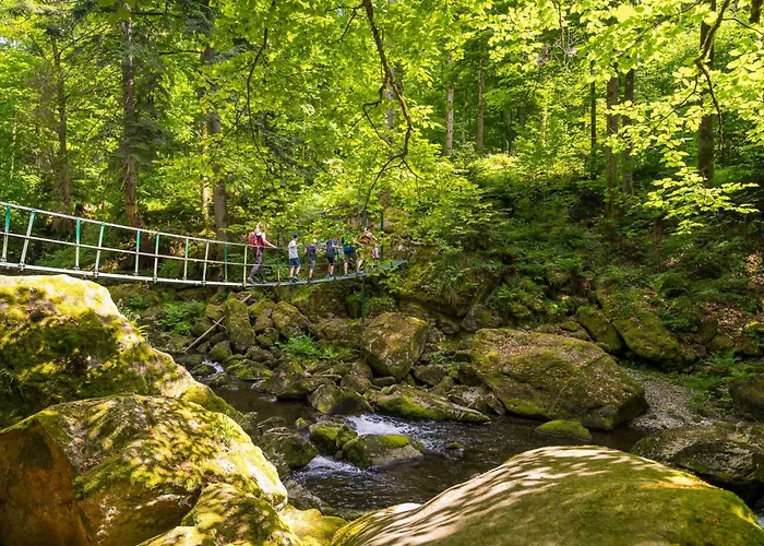 Daire Bayerwald Inklusive Aktivcard Bayerischer Wald Freyung