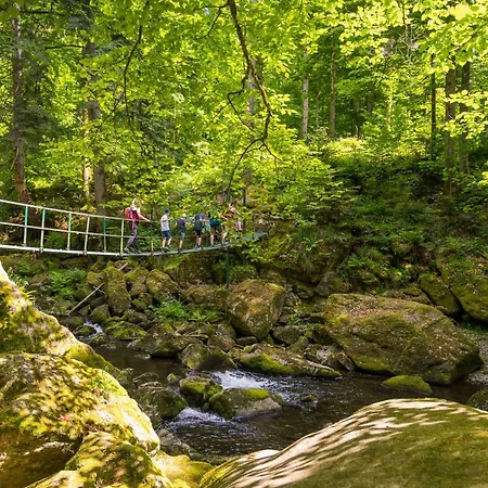 شقة Bayerwald Inklusive Aktivcard Bayerischer Wald فرايونغ